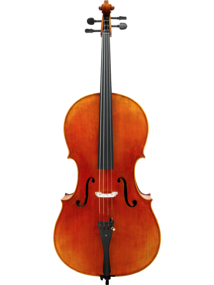 Maple Leaf Strings - Ruby Montagana Full Size Cello (MLS510C-M)