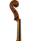 Maple Leaf Strings - Burled Maple Full Size Violin (MLS530)