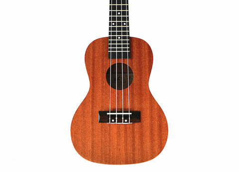 Tyro Ukulele Tenor