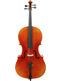 Maple Leaf Strings - Ruby Decorated Maggini Full Size Cello (MLS510C-DMG 4/4)