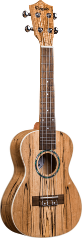 Penguin Concert Spalted Maple Ukulele 770C