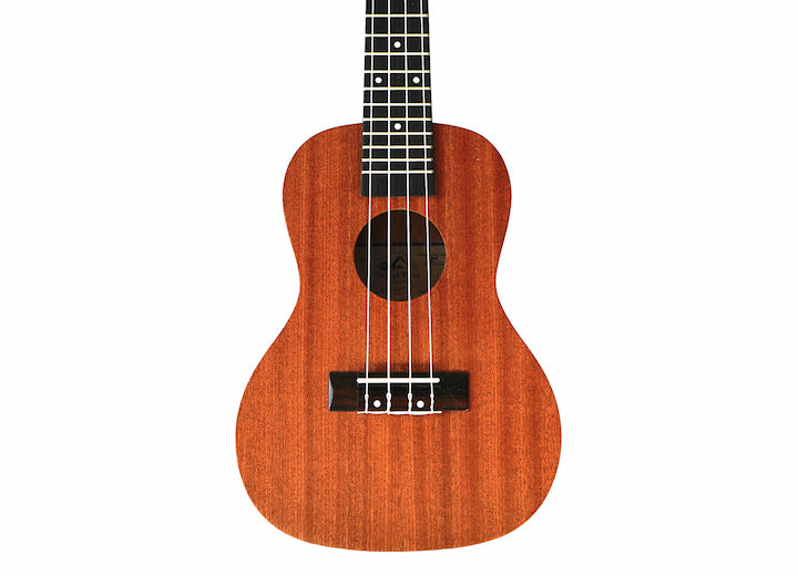 Twisted Wood Tyro Soprano Uke