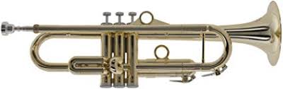 pInstruments Trumpet - Standard (PTRUMPET1HTG/GOLD)